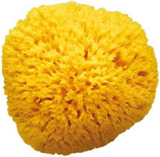 OkBaby Honeycomb sea sponges 12
