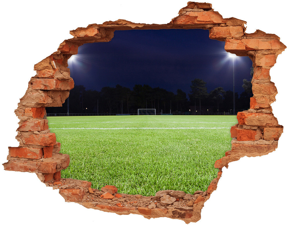 Wallmuralia.pl Fototapeta dziura na ścianę 3d Murawa piłkarska