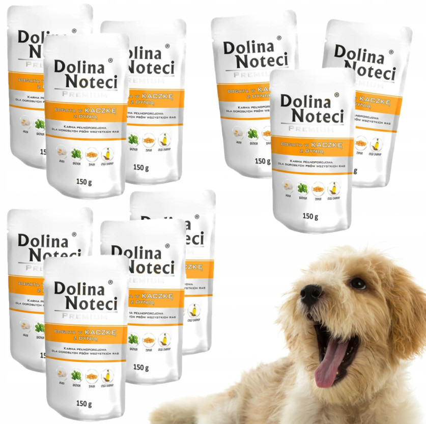 Dolina Noteci PREMIUM Kaczka SASZETKI 10x 150g  od 95zł +DO 3% ZWROTU W PROGRAMIE LOJALNOŚCIOWYM ZEST-DNP-150-10-KACZ