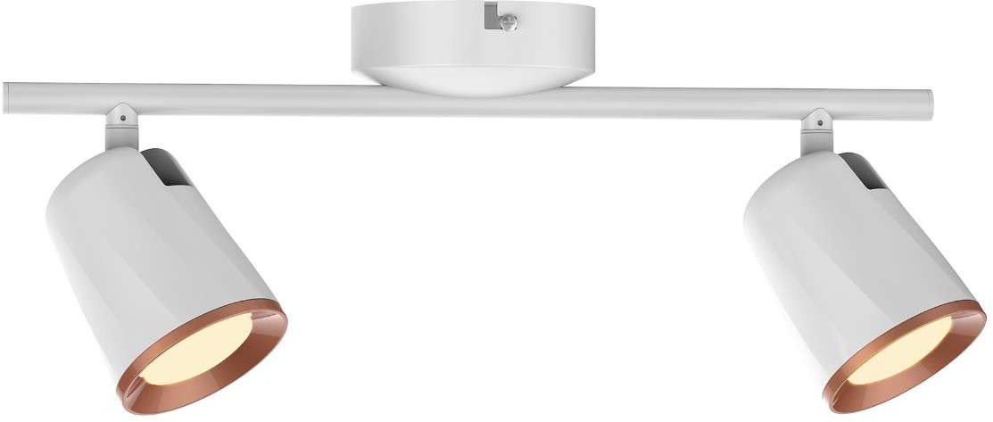 Rabalux 5046 - LED Oświetlenie punktowe SOLANGE 2xLED/6W/230V