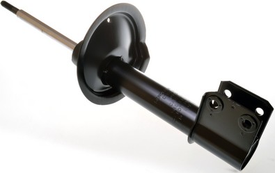 DENCKERMANN Amortyzator DSB100G DSB100G