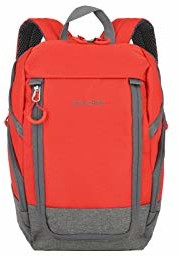 Travelite travelite Bagaż podręczny plecak na podróż, czas wolny i sport, seria bagażu Basics Daypack: kompaktowy plecak podróżny, czerwony/szary (czerwony) - 096290-10 096290-10