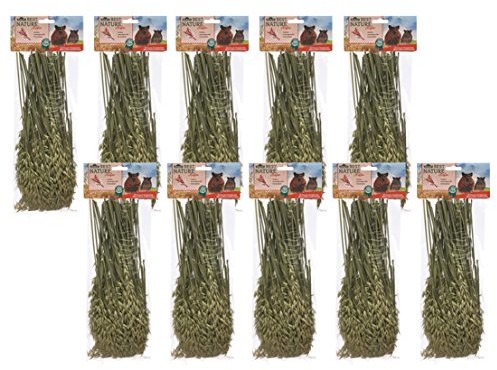 Dehner rozpychacz Best Nature gryzoni Snack, Owies, papierowe słomki, 10 X 75 G (750 G)