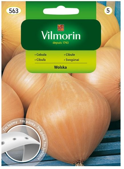 Vilmorin Nasiona cebula wolska T