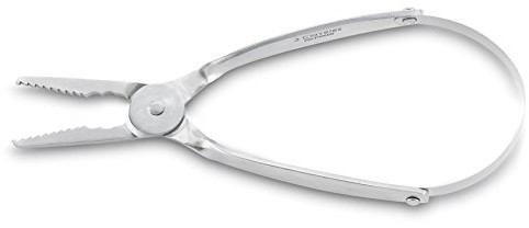 3 Claveles Nożyce do cięcia 3 claveles 579  muszla ze sprężynami, 17,5 cm 579