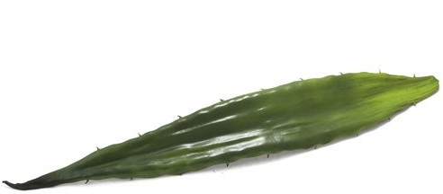 Europalms Euro Palms 82530581 Aloe arkuszy, EVA, 60 cm, zielony 82530581