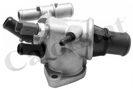 CALORSTAT Termostat, środek chłodzący CALORSTAT TH7175.88J