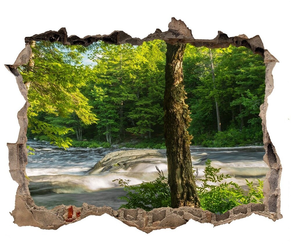 Wallmuralia.pl naklejka fototapeta 3D widok Rzeka w lesie