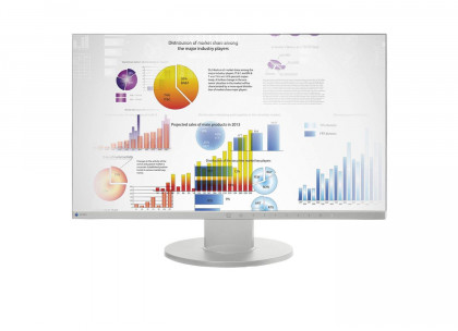 Eizo FlexScan EV2450-GY 24