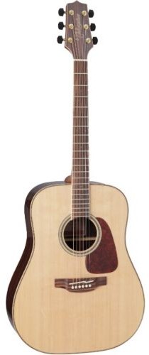 Takamine GD93-NAT