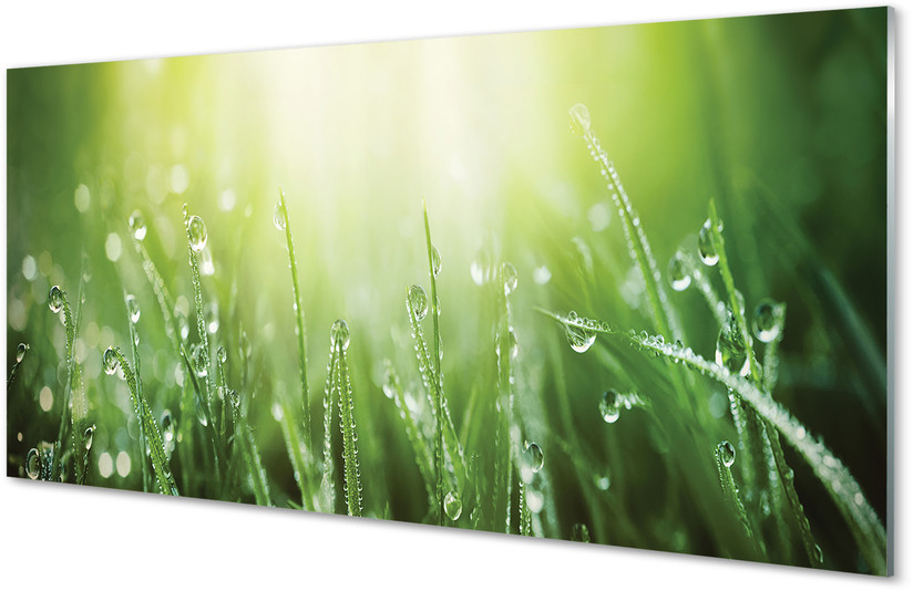 Tulup.pl Szklany Panel Krople trawa słońce 125x50cm