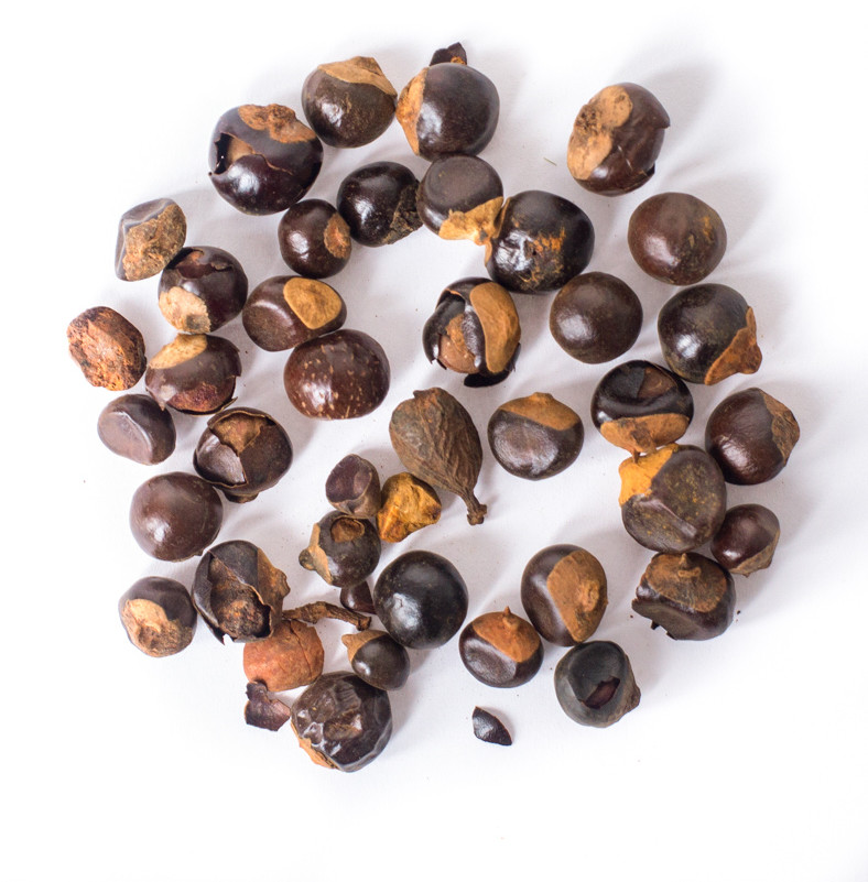 Planteon Guarana ziarno 100g 2-0069-01-2