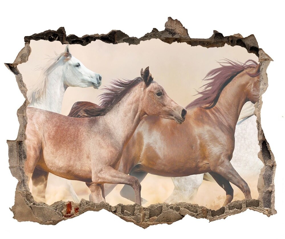 Wallmuralia.pl Dziura 3d fototapeta naklejka Konie w galopie