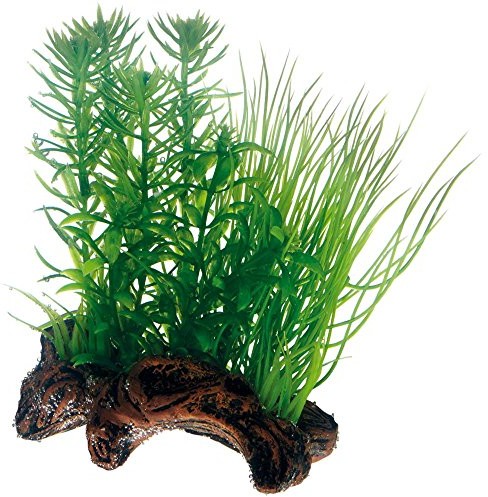 Hobby Flora Root replika korzeni ze sztucznymi roślinami, s 51595