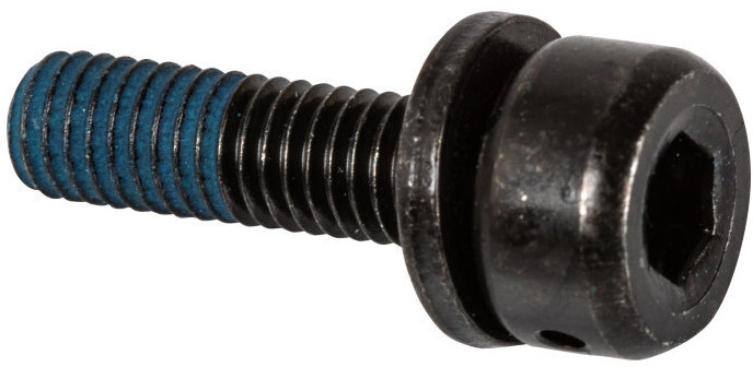 Shimano Śruba adaptera hamulca tarczowego do ram Flat-Mount 10mm 2020 Akcesoria do hamulców tarczowych Y-81743100