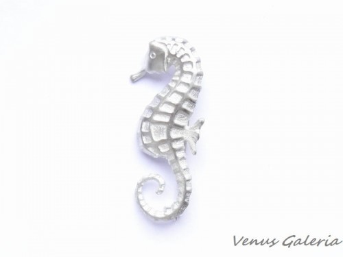 Broszka srebrna - Biały konik morski 782
