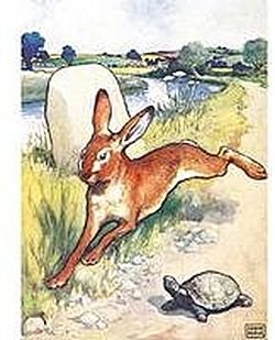 Karnet B6 z kopertą The Hare and the Tortoise