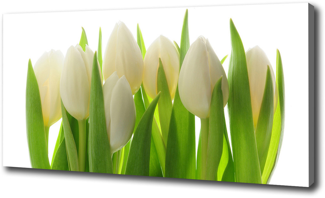 Foto obraz canvas Tulipany