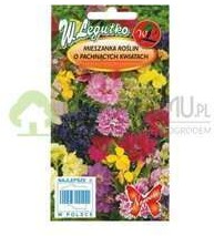 Legutko Mieszanka roślin o pachnących kwiatach 1g