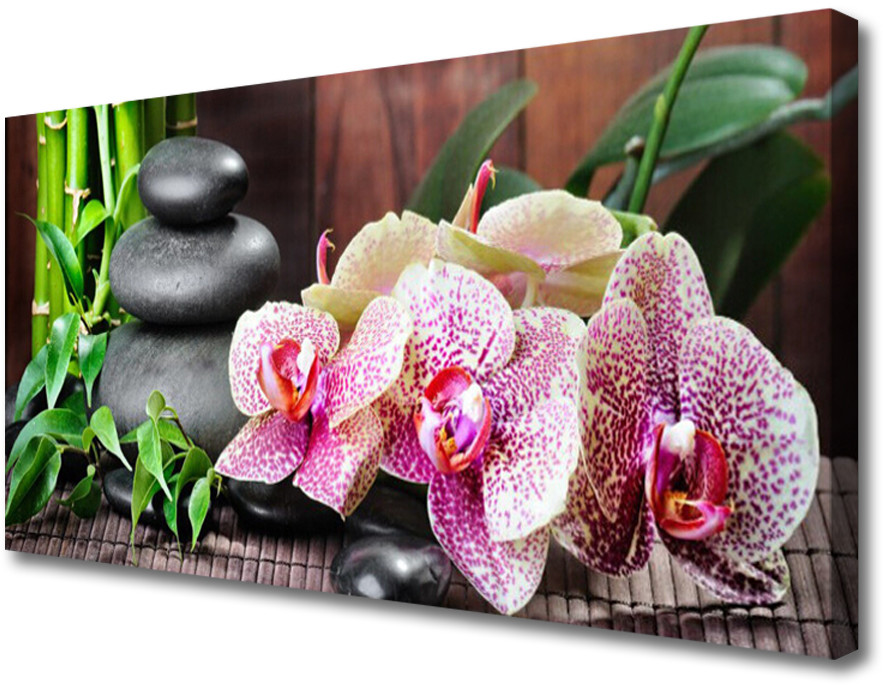 PL Tulup Obraz Canvas Bambus Storczyk Spa 140x70cm