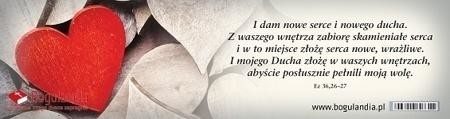 Bogulandia Zakładka 20 do książki - I dam nowe serce i nowego