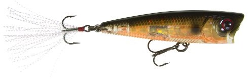 Yo-Zuri YO-Zuri do pływania 3dB Popper złoty Bass 75 MM przy powierzchni wody powierzchni r1101 przynęty-pgbl NIB R1101