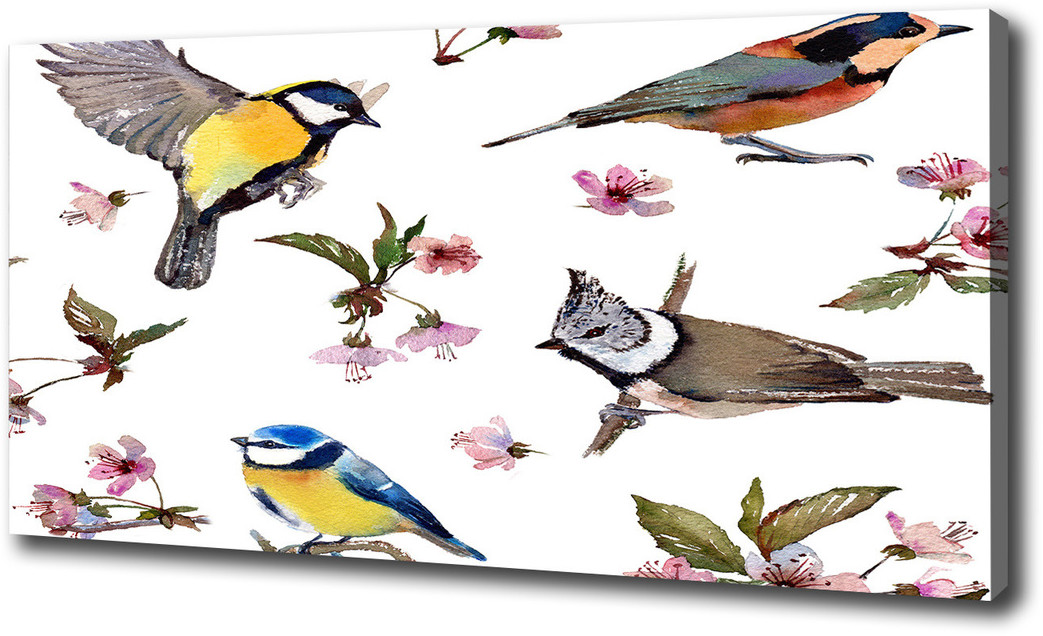 Foto obraz na płótnie Ptaki kwiaty wiśni
