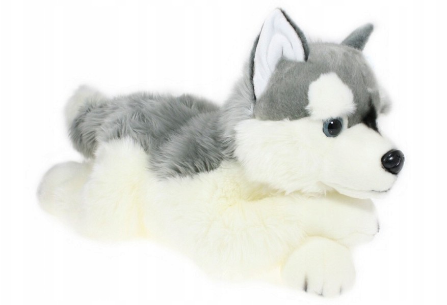 Maskotka Pies Pluszowy Husky Leżący 61cm Miękki