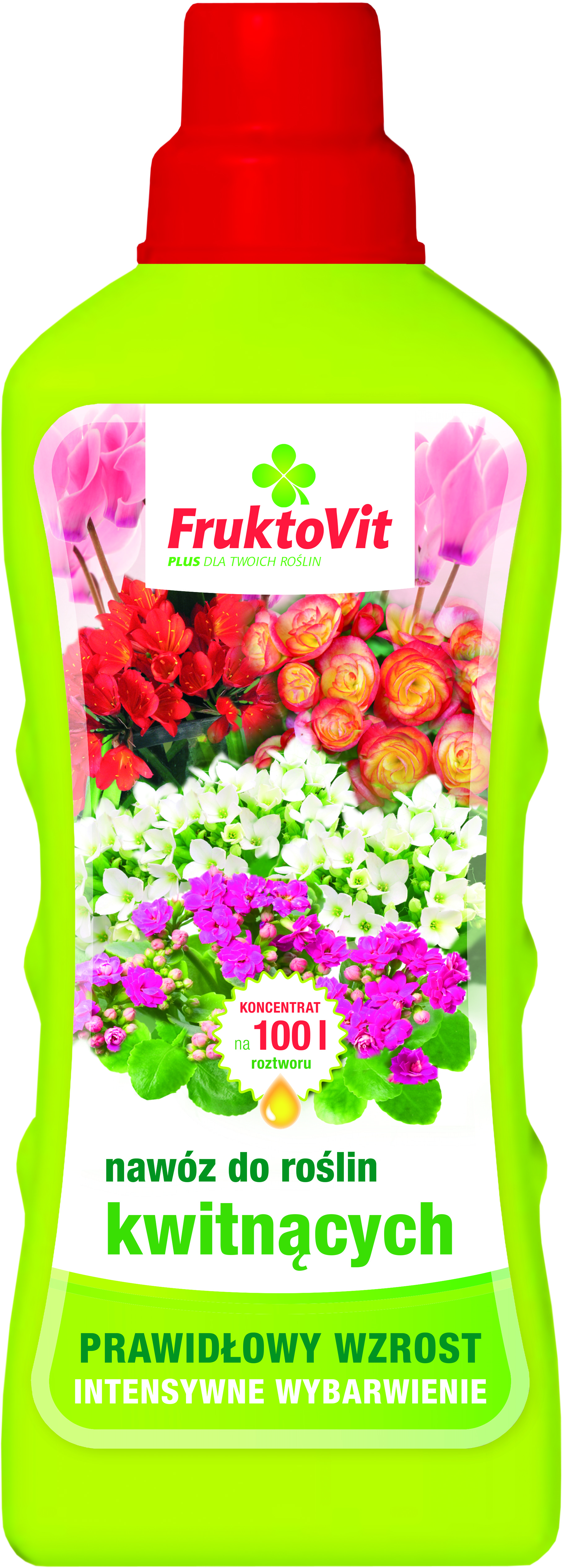 Fruktovit Plus Nawóz płynny do roślin kwitnących butelka 1,1 kg