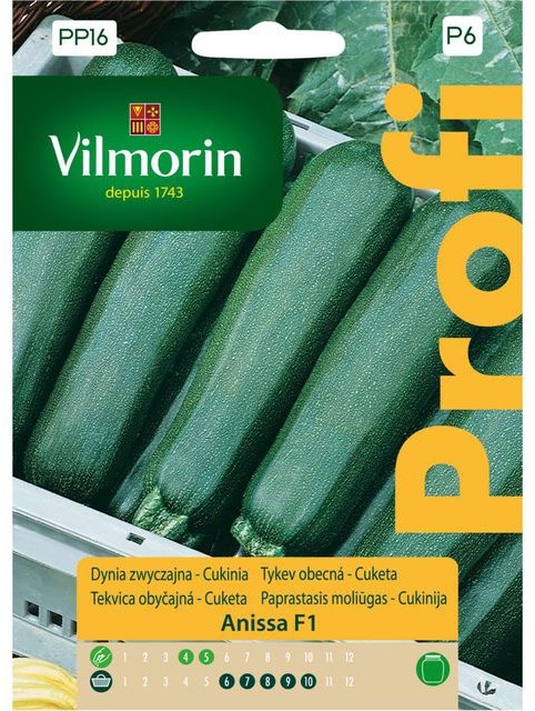 Vilmorin Cukinia ANISSA