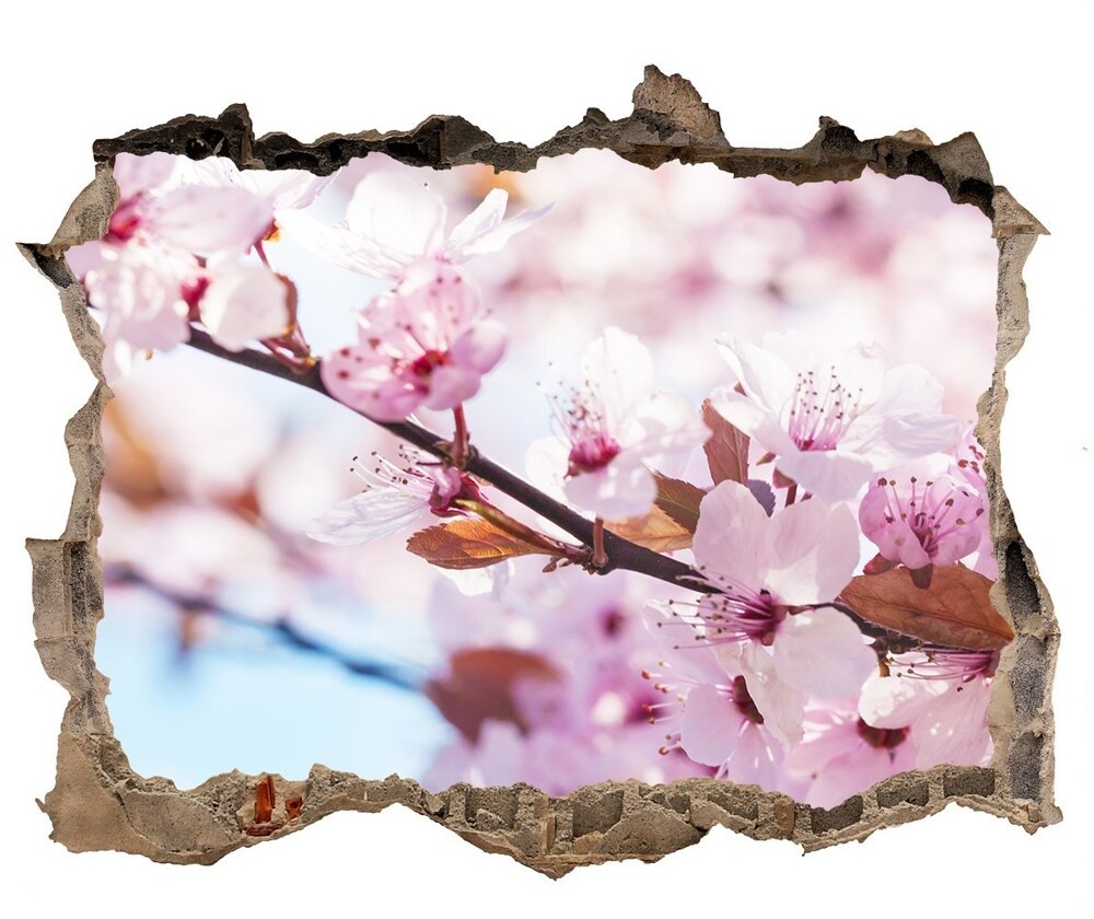 Wallmuralia.pl Samoprzylepna dziura naklejka Kwiaty wiśni