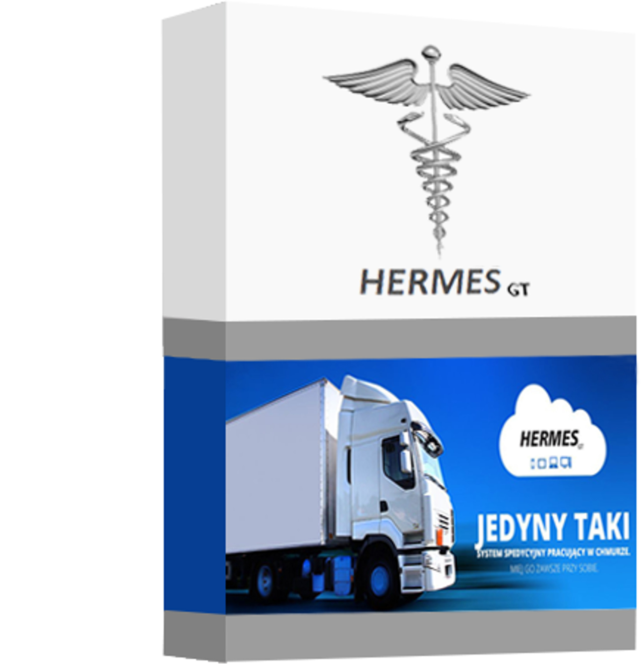 Hermes Moduł Integracji z komputerem FirmyTransics HERMES-TRANSICS