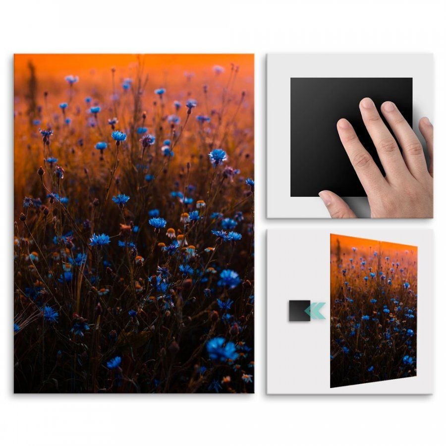 Pix4home Plakat metalowy niebieskie kwiaty M POS-M-01437