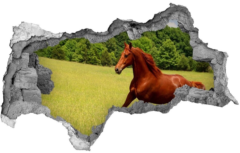 Wallmuralia.pl Dziura 3d fototapeta na ścianę Koń na łące