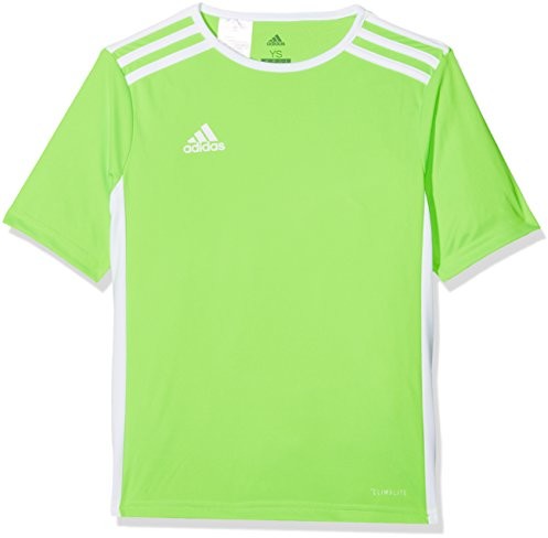 Adidas męska koszulka entrada 18 - s słoneczny zielony / biały CE9758