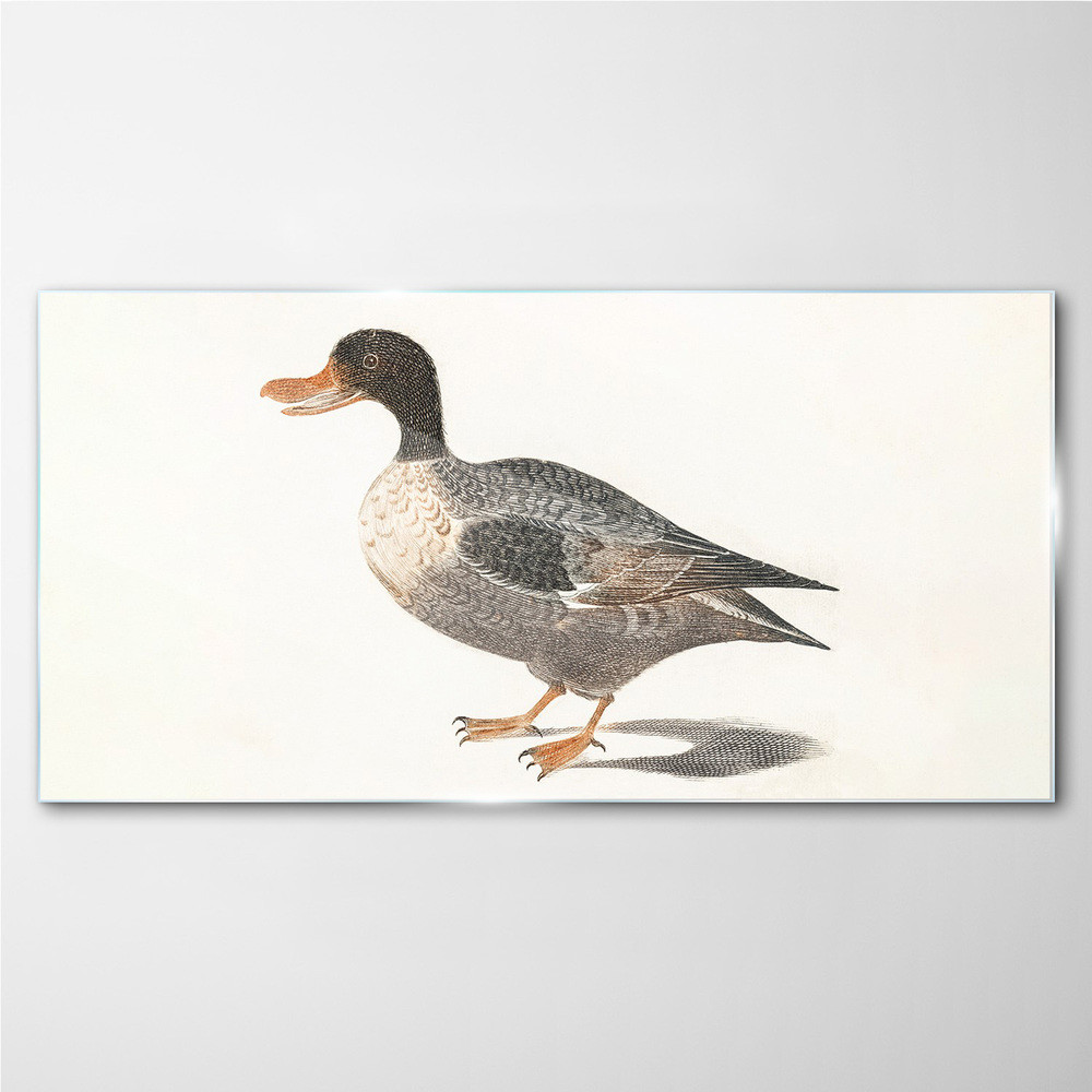 PL Coloray Obraz Szklany Rysunek Ptak Kaczka 120x60cm