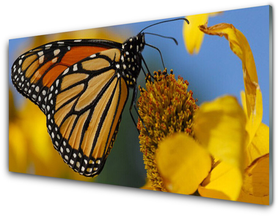 Tulup.pl Panel Szklany Motyl Kwiat Przyroda 125x50cm
