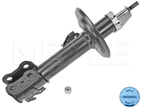 Wulf Gaertner Autoparts Amortyzator Wulf Gaertner Autoparts 30-26 623 0020