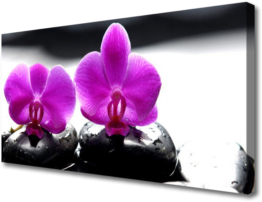 PL Tulup Obraz Canvas Kwiaty Orchidea Natura 125x50cm