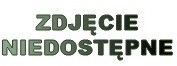 RM Gastro Podgrzewana sonda termiczna | HISON HISON