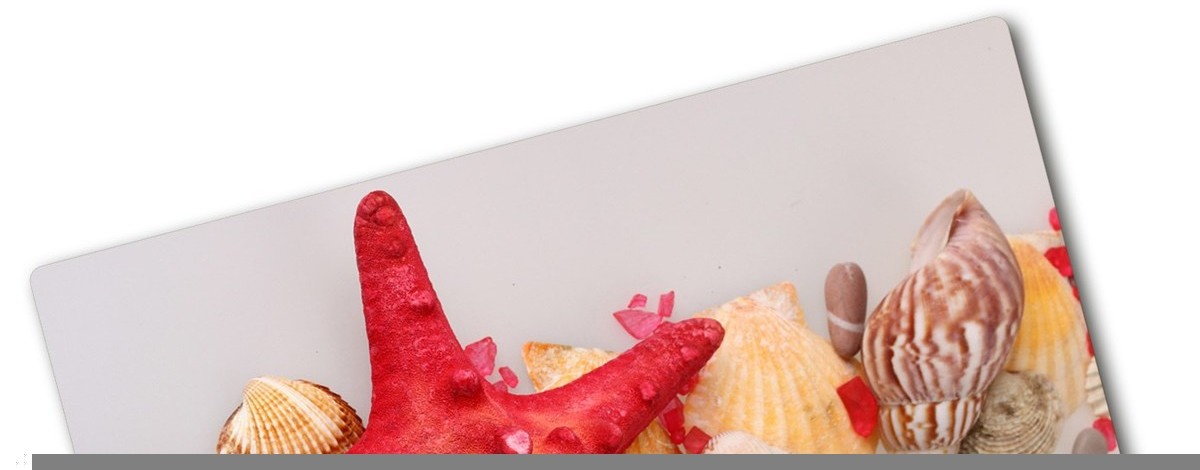 Deska kuchenna szklana Rozgwiazda i muszle