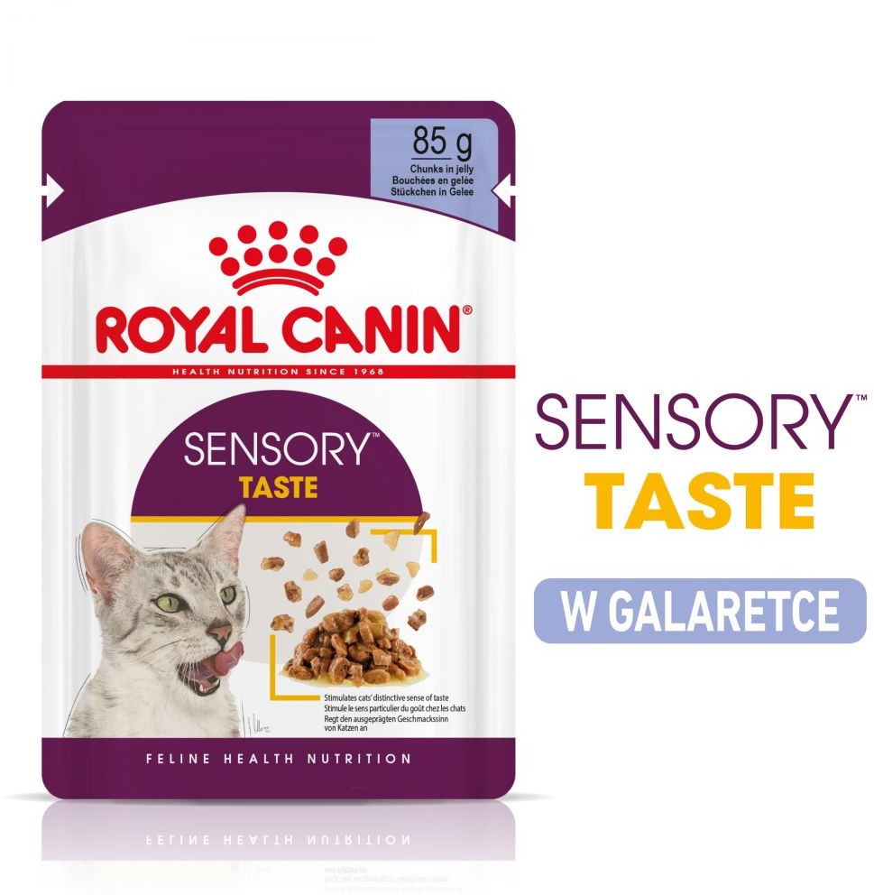 Royal Canin Sensory Taste w galarecie - 24 x 85 g