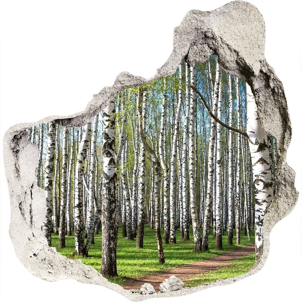 Wallmuralia.pl naklejka fototapeta 3D widok Brzozowy las