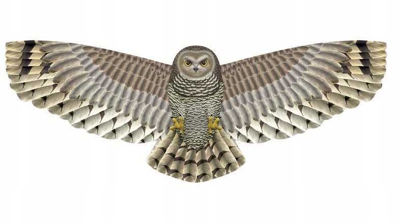 Latawiec 1 linkowy X-Kies Birds of Prey ptak sowa
