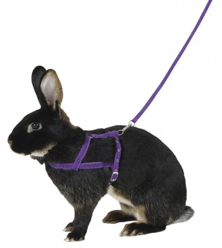 Kerbl Uprząż dla królika, 21 - 35 cm, M