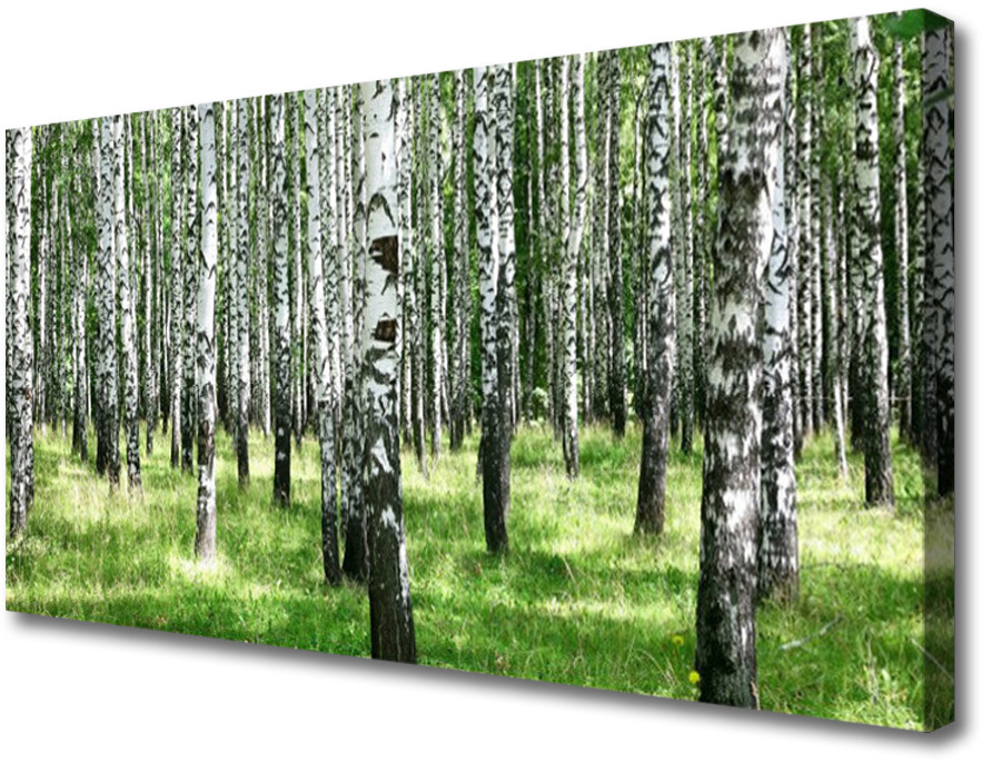 PL Tulup Obraz Canvas Las Trawa Roślina Natura 100x50cm