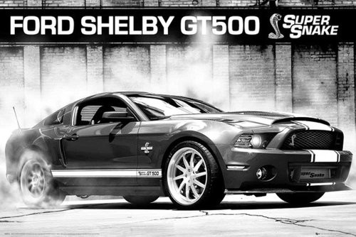 empireposter Plakat z akcesoriami Ford Shelby GT500 Super rsnake + artykuły dodatkowe (603272)