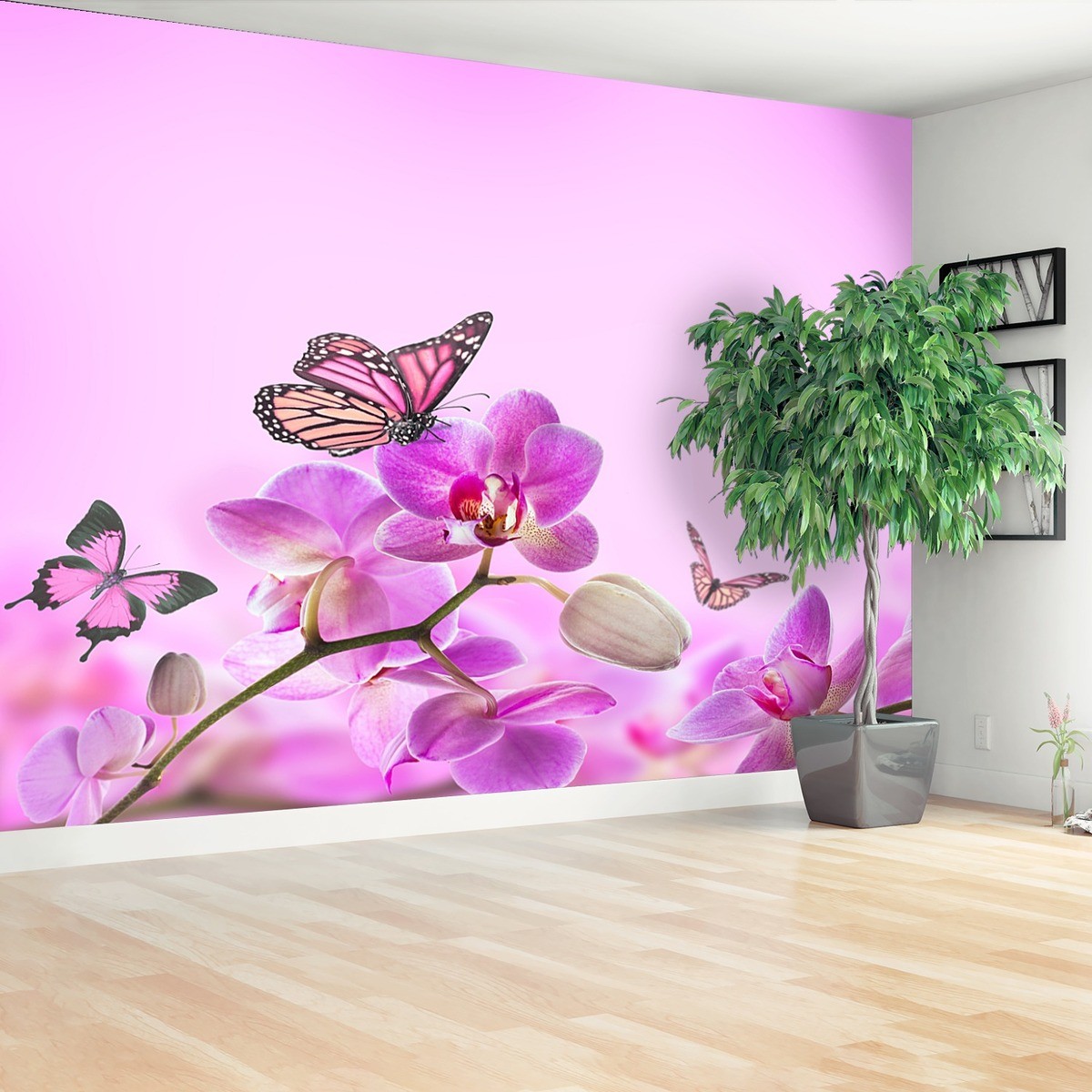 Fototapeta Orchidea Motyl