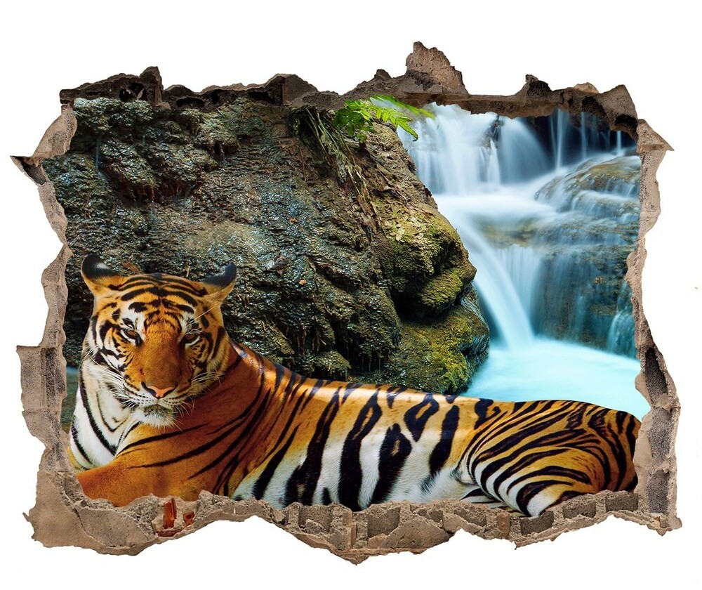Wallmuralia.pl Dziura 3d fototapeta naklejka Tygrys wodospad