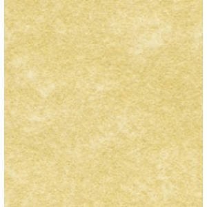 SOHO Creative pergaminu, A4, 100 GSM, 25 arkuszy papieru WP0045